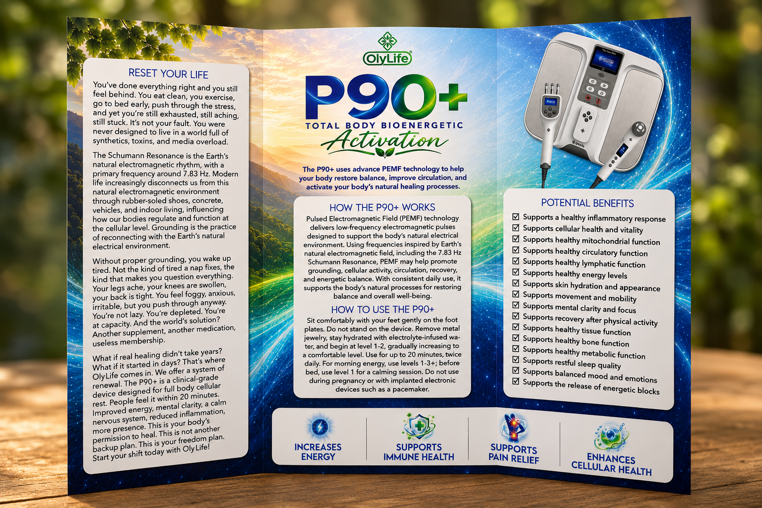 Brochure: P90+ Trifold Brochure (20 Pack)